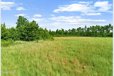 1979 Mutual Road, Cottondale, FL 32431 - Photo 19
