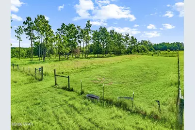 1979 Mutual Road, Cottondale, FL 32431 - Photo 9