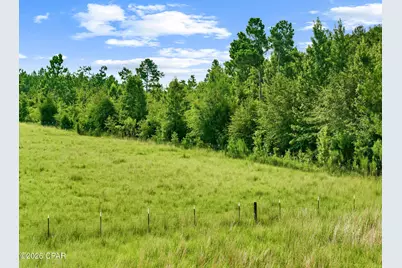 1979 Mutual Road, Cottondale, FL 32431 - Photo 23