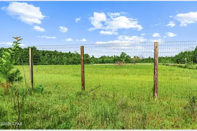 1979 Mutual Road, Cottondale, FL 32431 - Photo 15