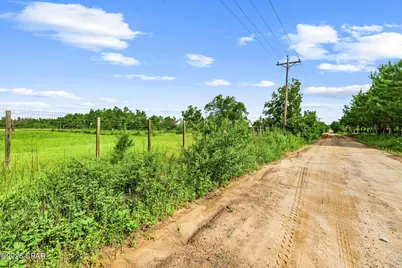1979 Mutual Road, Cottondale, FL 32431 - Photo 13