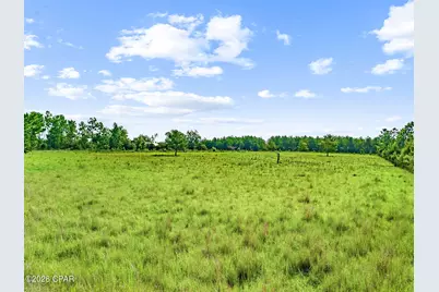1979 Mutual Road, Cottondale, FL 32431 - Photo 17