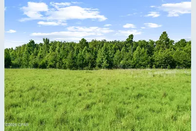1979 Mutual Road, Cottondale, FL 32431 - Photo 39