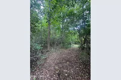 0 Poplar Springs Road, Marianna, FL 32446 - Photo 11
