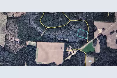 Lot 54 Reedy Creek Crossing #Lot 54, Westville, FL 32464 - Photo 3