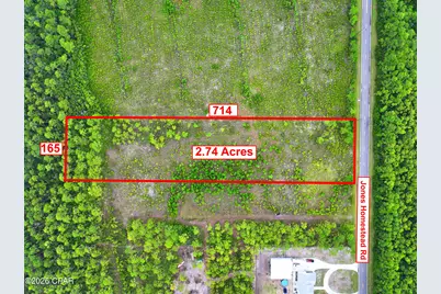 195 Jones Homestead Road, Port Saint Joe, FL 32456 - Photo 3