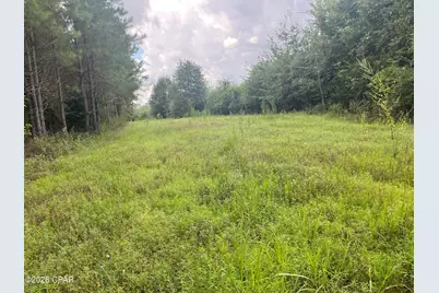 00 Sylvantia Plantation Road, Greenwood, FL 32443 - Photo 3