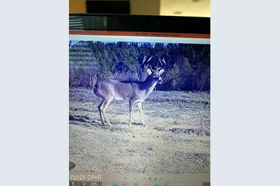 00 Sylvantia Plantation Road, Greenwood, FL 32443 - Photo 13