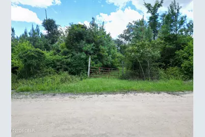 00 Sylvantia Plantation Road, Greenwood, FL 32443 - Photo 17