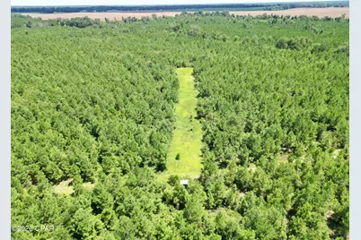 00 Sylvantia Plantation Road, Greenwood, FL 32443 - Photo 5