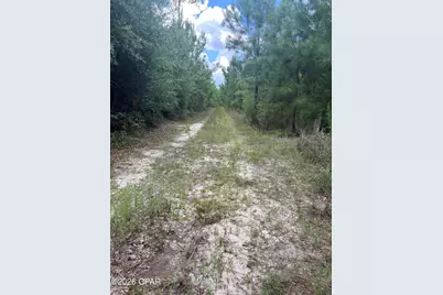 00 Sylvantia Plantation Road, Greenwood, FL 32443 - Photo 21