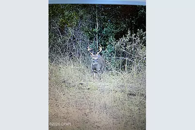 [Address not provided], Greenwood, FL 32443 - Photo 9