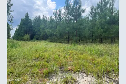 [Address not provided], Greenwood, FL 32443 - Photo 5