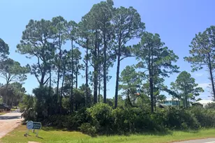 111 Pluto Way, Port Saint Joe, FL 32456 - Photo 1