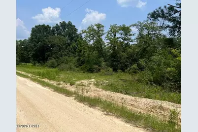 0 Alton Lane, Chipley, FL 32428 - Photo 1