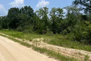0 Alton Ln, Chipley, FL 32428 - Photo 1