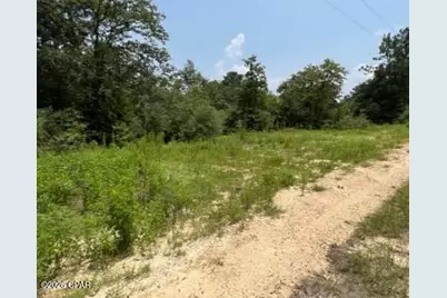 0 Alton Lane, Chipley, FL 32428 - Photo 3