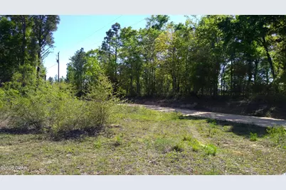 0 Alton Lane, Chipley, FL 32428 - Photo 5