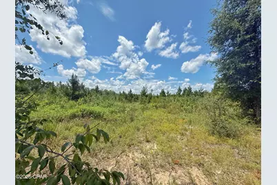 0 Peanut Road, Cottondale, FL 32431 - Photo 5