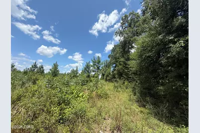 0 Peanut Road, Cottondale, FL 32431 - Photo 3
