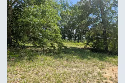 00 Marian Drive, Bonifay, FL 32425 - Photo 5