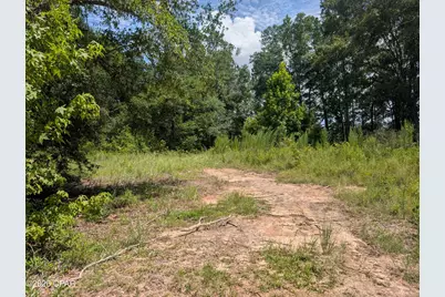 00 Marian Drive, Bonifay, FL 32425 - Photo 3