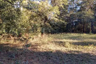 00 Marian Dr, Bonifay, FL 32425 - Photo 1