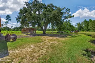 2900 Tanner Rd, Chipley, FL 32428 - Photo 63