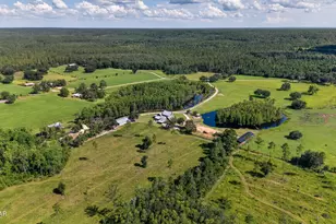 2900 Tanner Rd, Chipley, FL 32428 - Photo 77