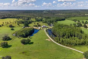 2900 Tanner Rd, Chipley, FL 32428 - Photo 71