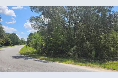 2.53 Acres Lucas Lake Road, Chipley, FL 32428 - Photo 5