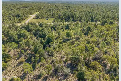 Xxx Cavalier Drive #Lot 14, Chipley, FL 32428 - Photo 5