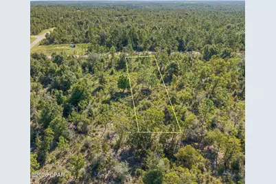 Xxx Cavalier Drive #Lot 15, Chipley, FL 32428 - Photo 5