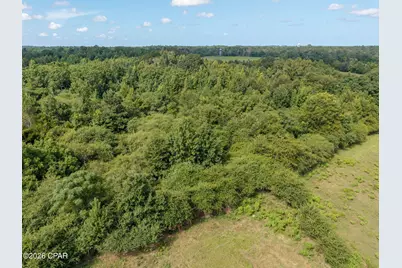 Xxx Highway 173, Bonifay, FL 32425 - Photo 9