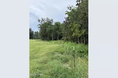 Xxxx Hwy 179A, Westville, FL 32464 - Photo 13