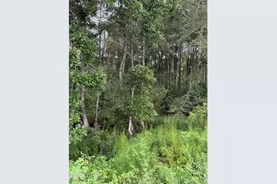 Xxxx Hwy 179A, Westville, FL 32464 - Photo 11