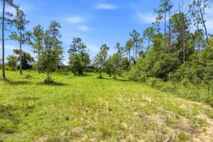 11612 Owenwood Rd, Fountain, FL 32438 - Photo 47