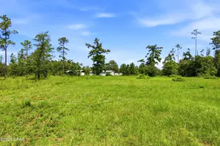 11612 Owenwood Rd, Fountain, FL 32438 - Photo 51