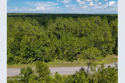 Lot 12 Cypress Crossing Road, Vernon, FL 32462 - Photo 21