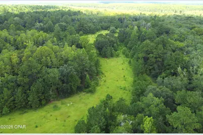 Xxx SW County Road 379, Bristol, FL 32321 - Photo 9