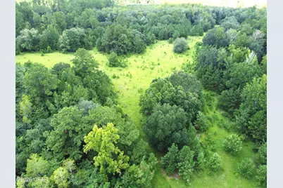 Xxx SW County Road 379, Bristol, FL 32321 - Photo 11