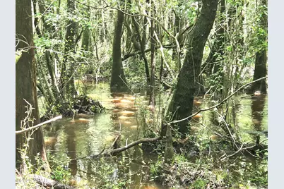 Xxx SW County Road 379, Bristol, FL 32321 - Photo 17