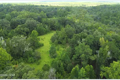 Xxx SW County Road 379, Bristol, FL 32321 - Photo 7