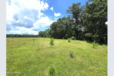 Xxx SW County Road 379, Bristol, FL 32321 - Photo 25
