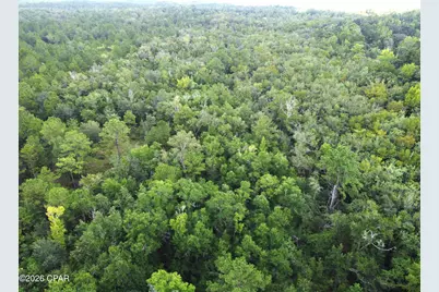 Xxx SW County Road 379, Bristol, FL 32321 - Photo 13