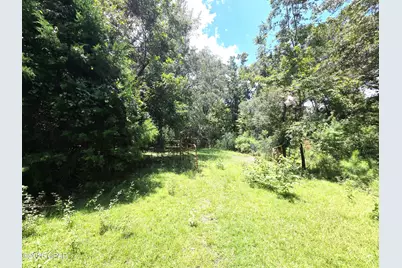 Xxx SW County Road 379, Bristol, FL 32321 - Photo 27
