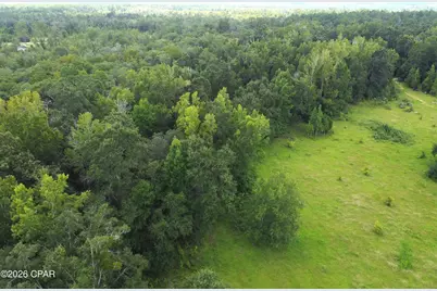 Xxx SW County Road 379, Bristol, FL 32321 - Photo 5