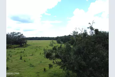 Xxx SW County Road 379, Bristol, FL 32321 - Photo 3