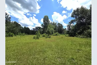 Xxx SW County Road 379, Bristol, FL 32321 - Photo 23