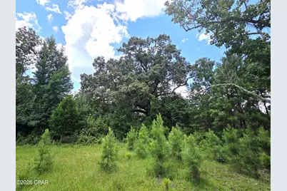Xxx SW County Road 379, Bristol, FL 32321 - Photo 21